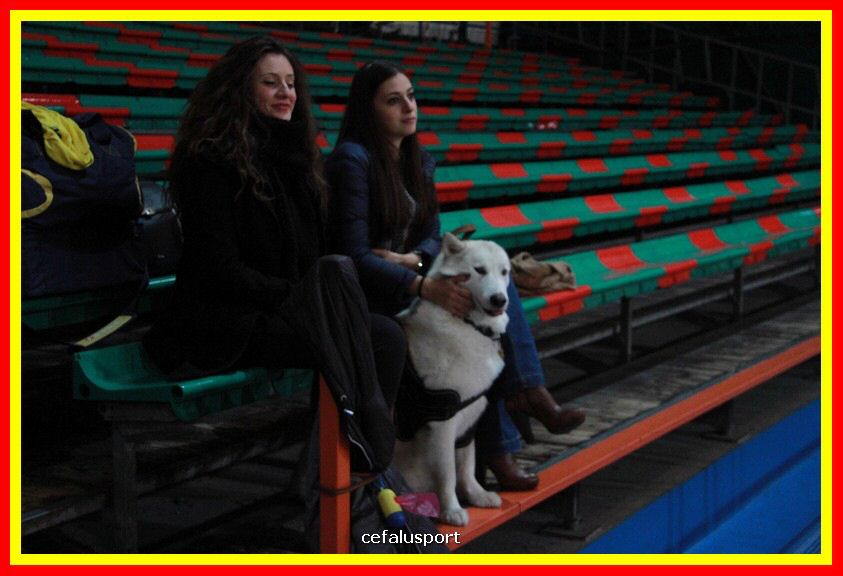 181201 volley 039_tn.JPG
